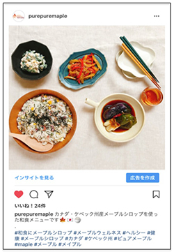 婦人画報　カナダ・メープルシロップの故郷