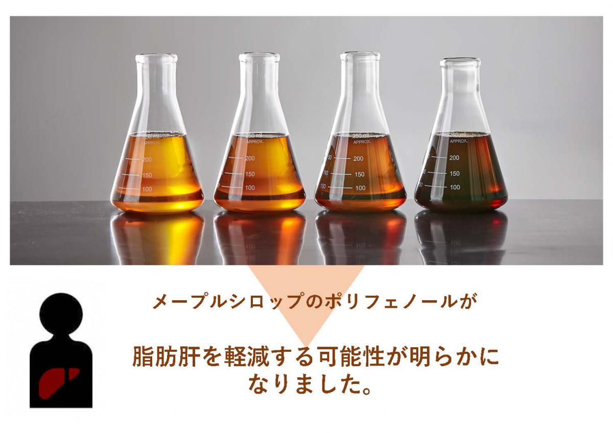 メープルシロップと肝臓